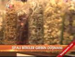Şifalı bitkiler gribin düşmanı
