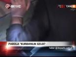 Parola ''Kurbanlık Geldi''