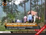 Ağaçtaki ev kurtulacak