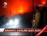 amanos daglari - Amanos dağları alev alev Videosu