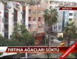 Antalya'da fırtına ağaçları kökünden söktü