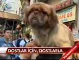 Dostlar için, dostlarla