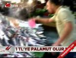 1 TL'ye palamut olur mu