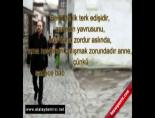 star tv - Atalay Demirci - Hayatı Yarışmak (Atalay Demirci Stand-Up) Videosu