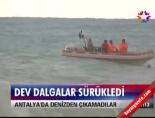 Dev dalgalar sürükledi