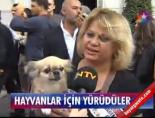 Hayvanlar için yürüdüler
