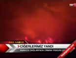 Amanos Dağları'nda orman yangını çıktı online video izle