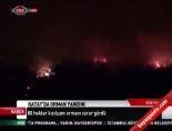 amanos daglari - Hayay'da orman yangını Videosu