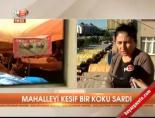 kurban pazari - Mahalleyi kesif bir koku sardı Videosu