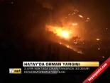 Hatay'da orman yangını online video izle