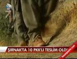 Şırnak'ta 10 PKK'lı teslim oldu