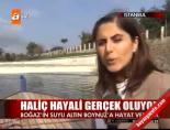 Haliç hayali gerçek oluyor online video izle