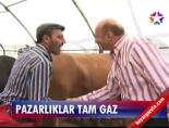 kurban pazari - Pazarlıklar tam gaz Videosu