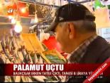 Palamut uçtu