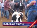 Bunun adı işkence