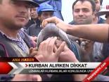 kurban pazari - Kurban alırken dikkat! Videosu