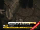 Hakkari'de terör operasyonu