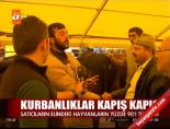 kurban pazari - Kurbanlıklar kapış kapış Videosu