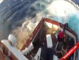 kilic baligi - Kılıç balığı balıkçılara saldırdı! Videosu