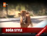 gangnam style - Boğa Style Videosu