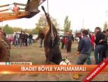 kurban bayrami - İbadet böyle yapılmamalı Videosu
