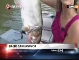 balik avi - Balık canlanınca... Videosu