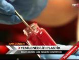 Yenilenebilir plastik