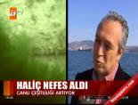 Haliç nefes aldı