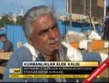 Kurbanlaıklar elde kaldı online video izle