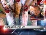 balik avi - Hamsinin kilosu 5 lira Videosu