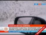 Van'da beyaz sürpriz