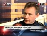kopekbaligi - Köpekbalıklarıyla yüzdüler Videosu