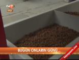 Bugün onların günü