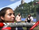 ABD'de ipekyolu festivali