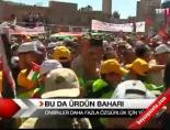 Bu da Ürdün baharı