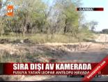 Sıra dışı av kamerada