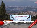 gocmen kuslar - İstanbul'u kanatlı misafirleri Videosu
