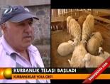 Kurbanlık telaşı başladı