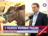 kurban pazari - 5 yıldızlı kurban pazarı Videosu