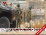 Ceylanpınar Diken Üstünde
