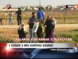 1 Günde 8 Bin Suriyeli Sığındı