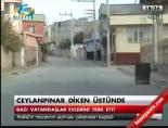 Ceylanpınar diken sütünde online video izle