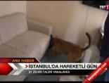 İstanbul'da Hareketli Gün