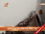 Antalya'da hem kış hem yaz online video izle