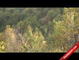 ege bolgesi - Hayran Bırakan Sonbahar Manzaraları Videosu