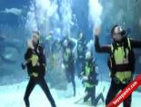 Su Altında PSY Gangnam Style Dansı