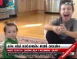 facebook - Bin kişi beğensin kedi gelsin Videosu