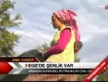 Ege'de Şenlik Var