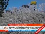 Adana Buz Tuttu