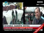 hamsi akini - İstanbul hamsiye doydu Videosu